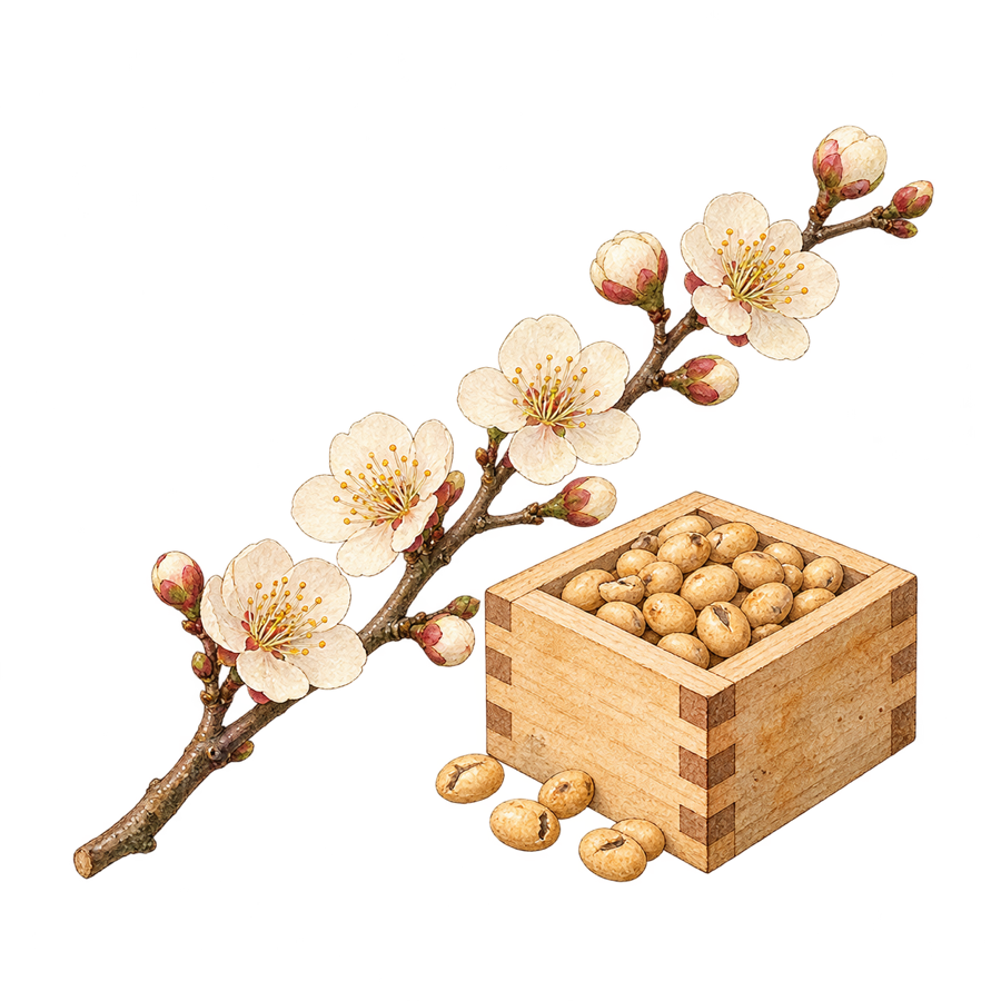 梅の枝と福豆の絵