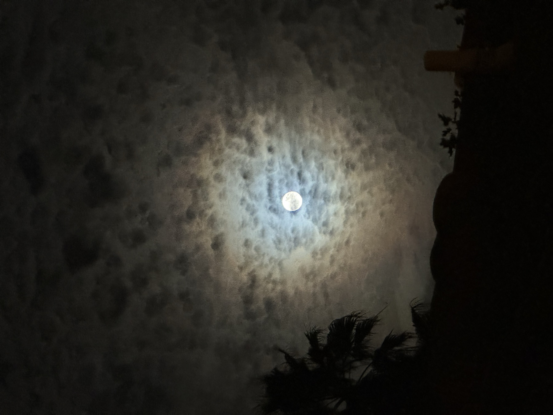 The moon between clouds