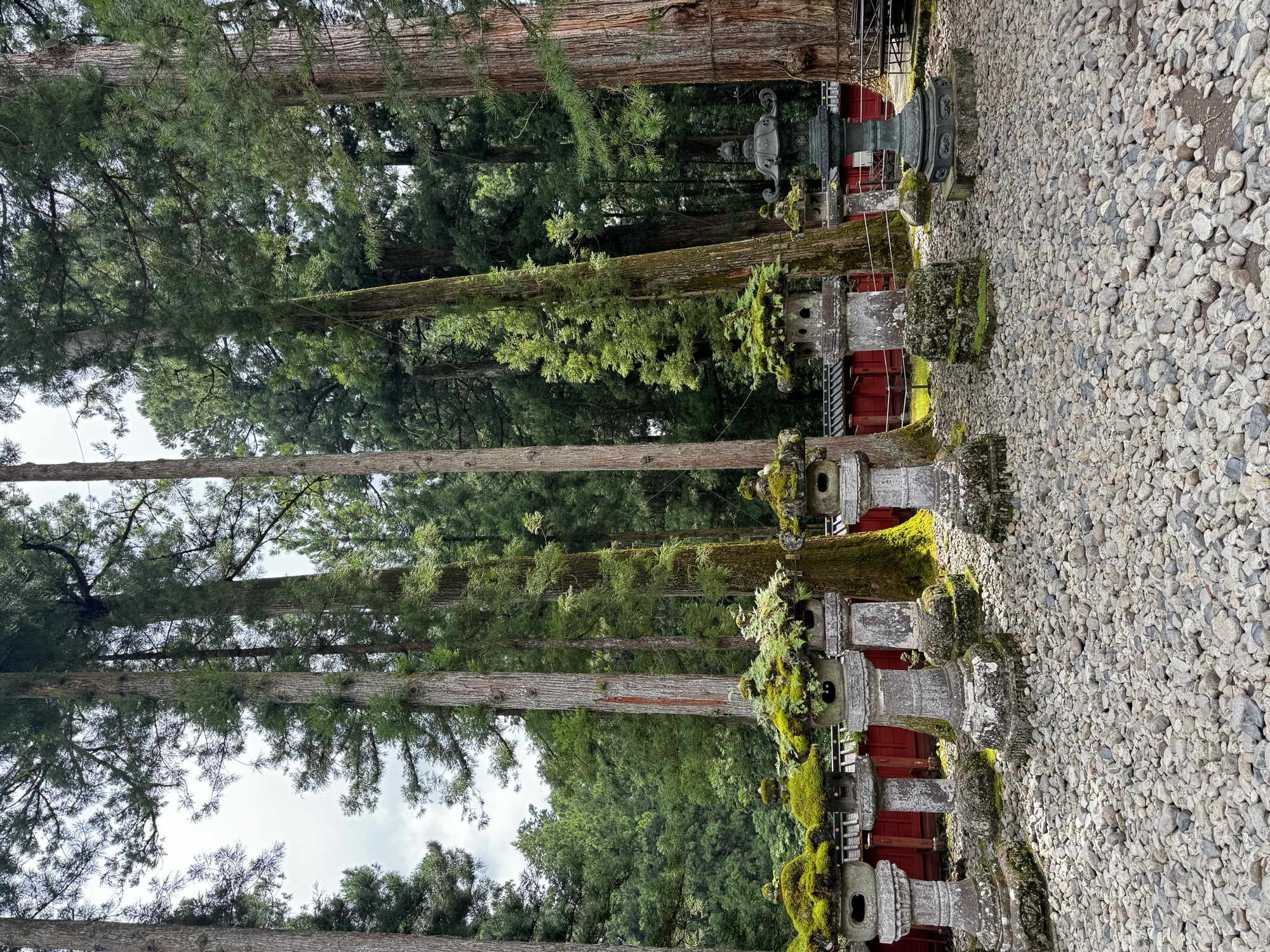A landscape